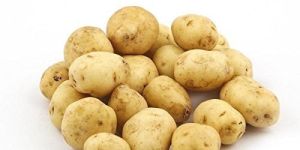 Fresh Baby Potato