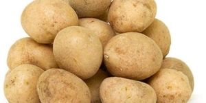 Fresh Chipsona Potato