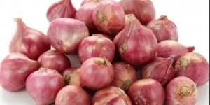 Fresh Sambar Onion