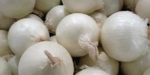 Fresh White Onion