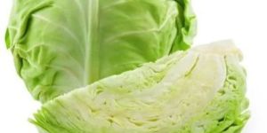 Fresh Cabbage