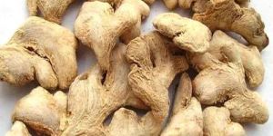 Dried Ginger Root