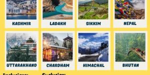 Family Tour Services