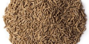 Dried Cumin Seeds