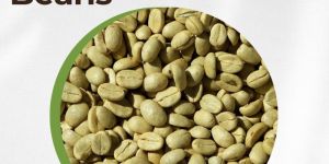 Arabica Coffee Beans