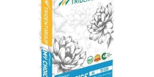 Trident My Choice a4 70 GSM Paper
