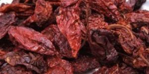 Bhut Jolokia Naga Chilli