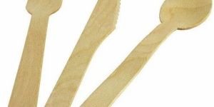 Disposable Areca Leaf Fancy Spoon