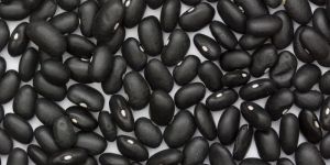 Black Beans