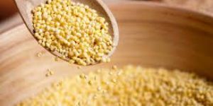 Certified Wheat Seeds