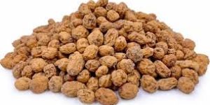 Tiger Nut