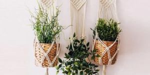 PH05 Cotton Macrame Plant Hanger