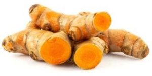 Fresh Turmeric Finger