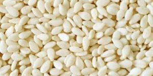 Sem Seeds