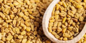 Bold Fenugreek Seeds