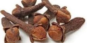 Clove Buds