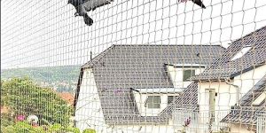 Nylon Bird Net
