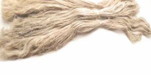 Banana Fiber