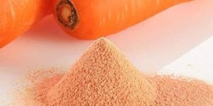 Spray Dried Carrot Powder