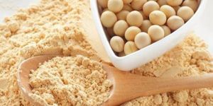 Spray Dried HPV Soya Powder