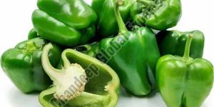 a Grade Green Capsicum