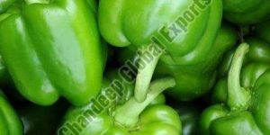Fresh Green Capsicum