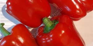 Fresh Red Capsicum