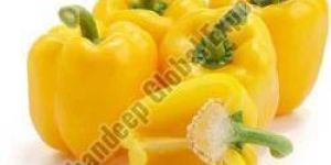 Fresh Yellow Capsicum
