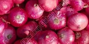Hybrid Red Onion