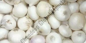 Small White Onion