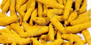 Turmeric Finger
