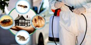 General Disinfection Pest Control Services