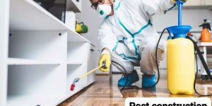 White Ant Termite Pest Control Service