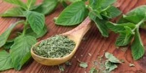Dried Mint Leaves