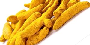 Yellow Turmeric Finger