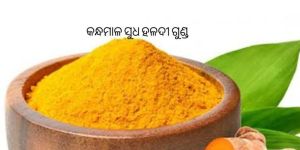 Organic Turmeric Powder