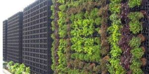 Artificial Vertical Garden