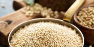 Quinoa