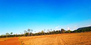 Farm Land, near Bhogapuram