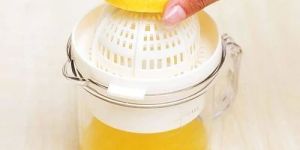 Manual Plastic Nano Fruit Juicer