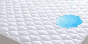 Mattress Protector