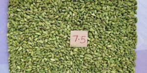 Green Cardamom
