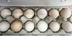 Pasture Raised Eggs