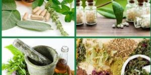 Ayurveda Natural Herb