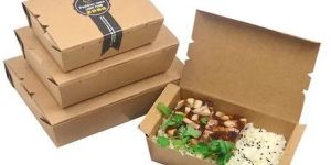 Brown Paper Food Containers