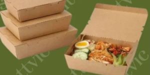 Cardboard Food Packing Box