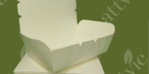 White Paper Food Boxes