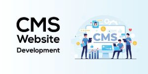 CMS Website Designing Services