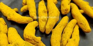 Turmeric Powder