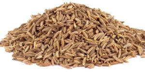 Cumin Seed